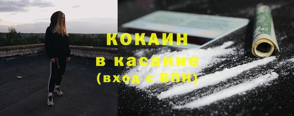 гашик Аркадак
