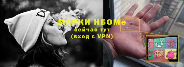 гашик Аркадак