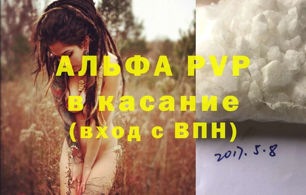 гашик Аркадак